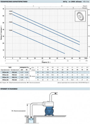 Pedrollo (Педролло) PKSm 60
