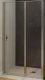 Душевая дверь Allen Brau Priority 100х200 см, стекло прозрачное, профиль серебро браш (3.31005.BA)  (3.31005.BA)
