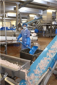 Vikan 56256 лопата, 327 x 271 x 50 мм., 1040 мм