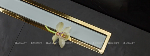 Душевой лоток Pestan Confluo Premium Gold White Glass Line 13100091, 650мм  Нержавеющая сталь / Пластик / Стекло