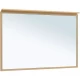 Зеркало подвесное для ванной Allen Brau Priority 120х75 с подсветкой, латунь браш (1.31018.03)  (1.31018.03)