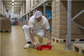 Совок для мусора, 330 мм