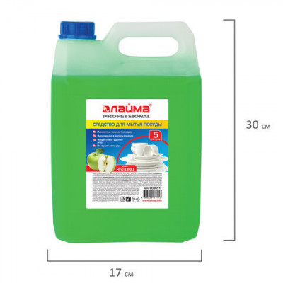 Средство для мытья посуды 5 л, ЛАЙМА PROFESSIONAL, концентрат, "Яблоко", 604651