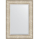 Зеркало настенное Evoform Exclusive 100х70 BY 3452 с фацетом в багетной раме Виньетка серебро 109 мм  (BY 3452)