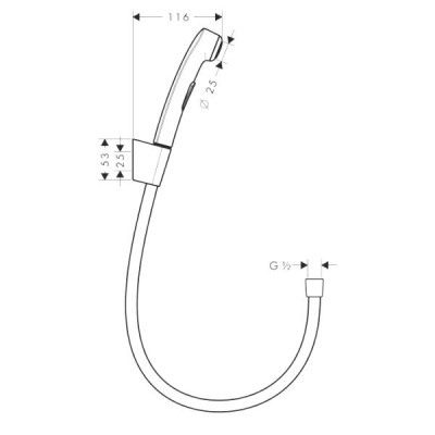 Hansgrohe 32128000 гигиеническая лейка + шланг Isiflex 160 см, хром